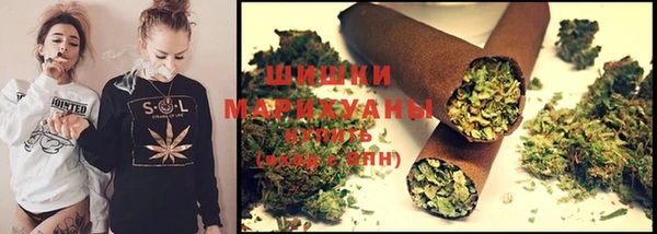 ПСИЛОЦИБИНОВЫЕ ГРИБЫ Аркадак
