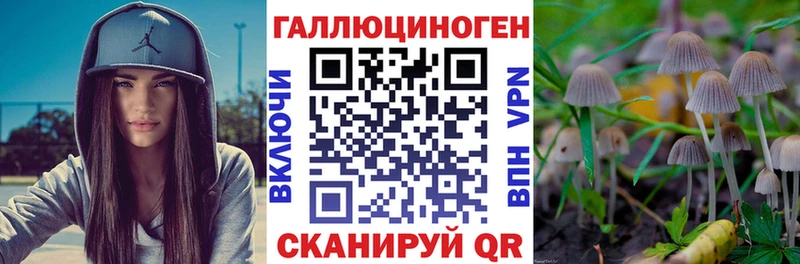 Галлюциногенные грибы MAGIC MUSHROOMS  Новозыбков 